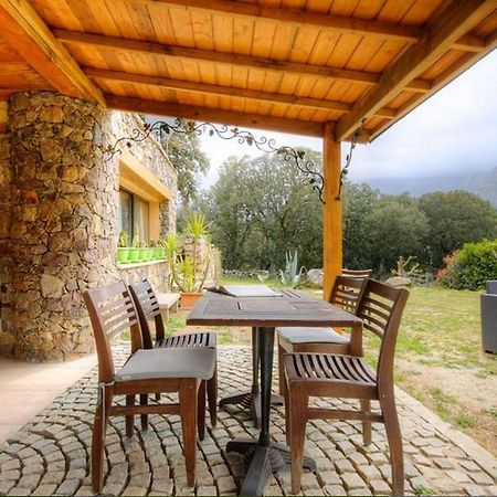 Studio Confortable Avec Vue Sur La Montagne A Moltifao 30M² Jardin Ngoại thất bức ảnh