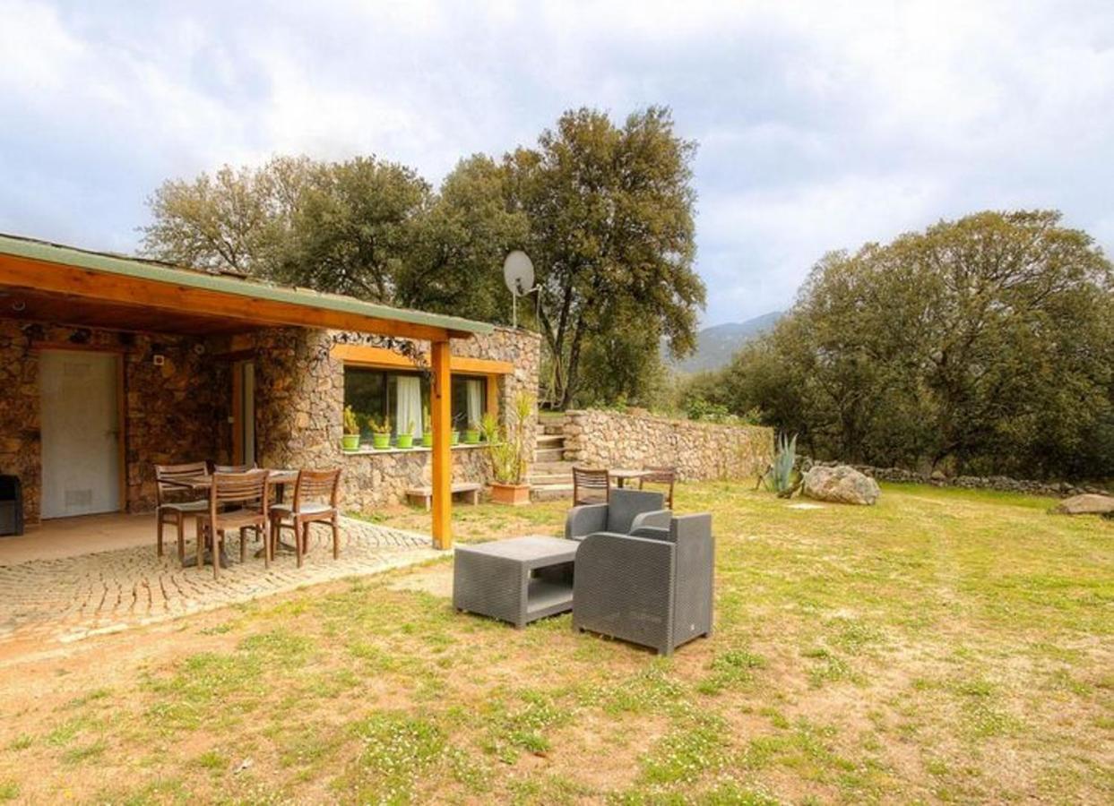 Studio Confortable Avec Vue Sur La Montagne A Moltifao 30M² Jardin Ngoại thất bức ảnh
